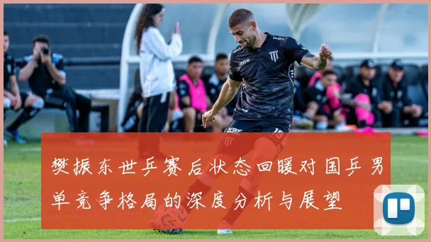 樊振东世乒赛后状态回暖对国乒男单竞争格局的深度分析与展望